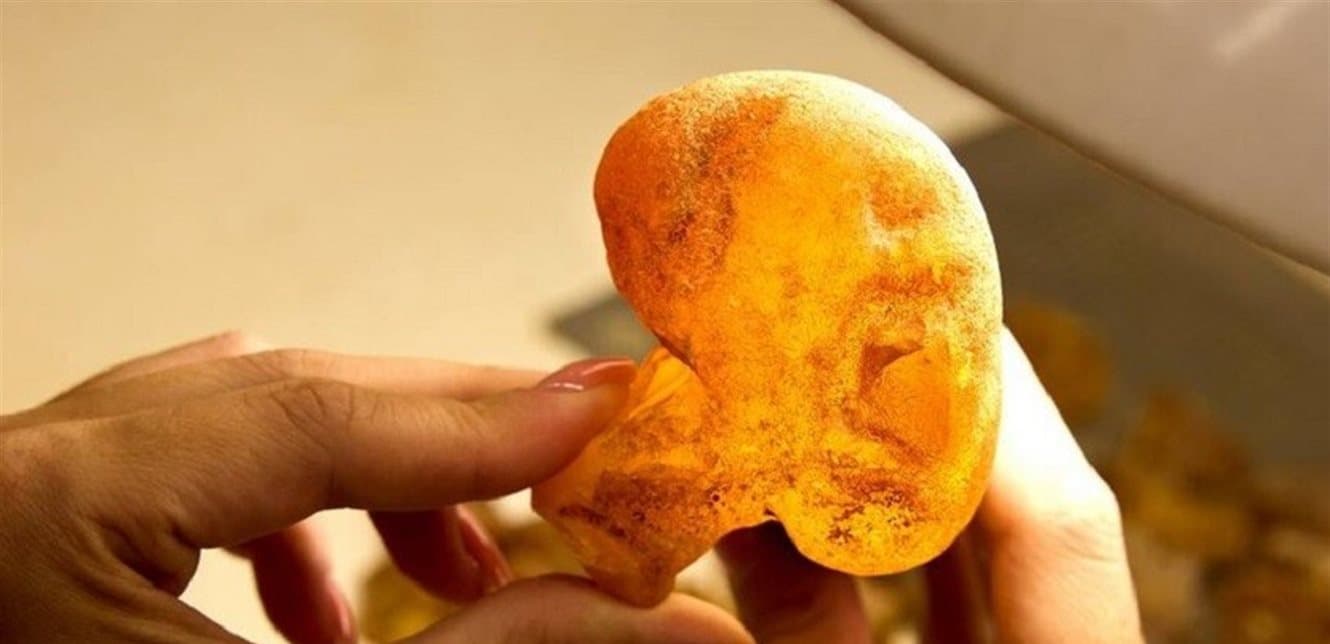 Rare water-like amber found