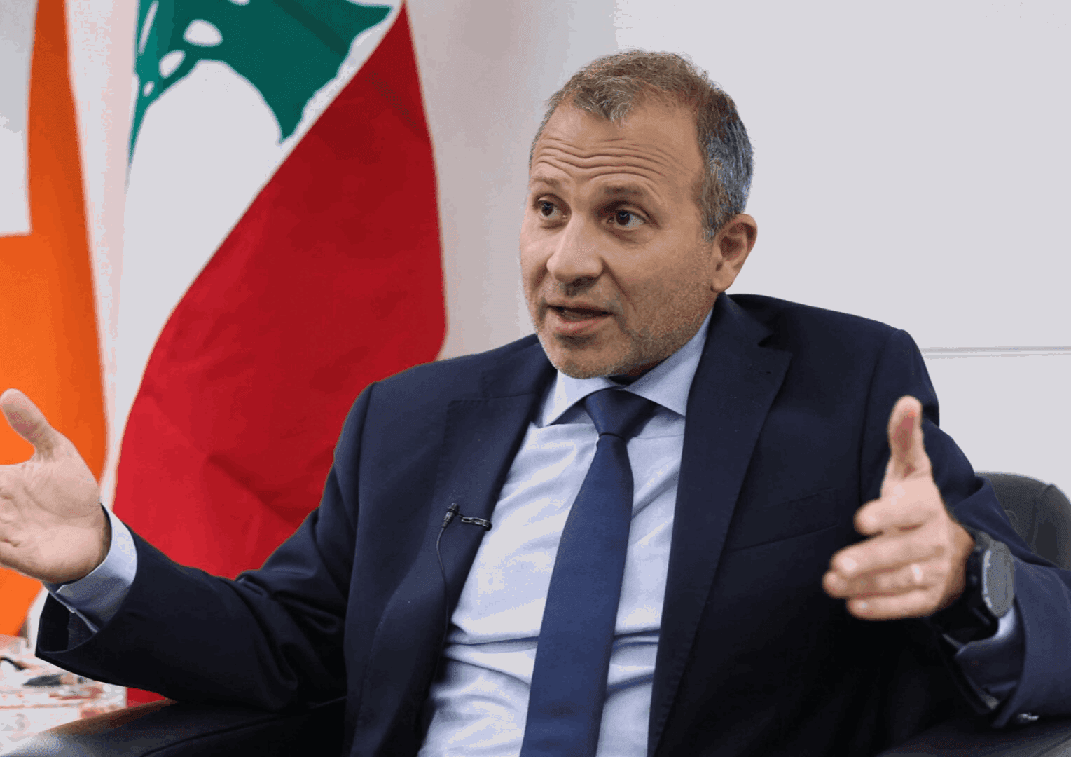 تصريحات باسيل حول قرار العفو العام