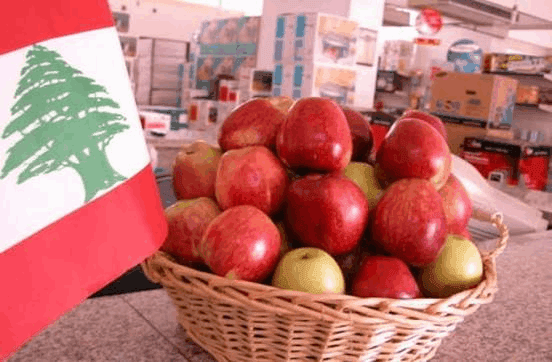 أزمة التفاح من الحقول للبرادات
