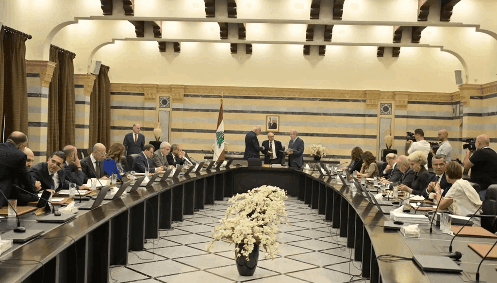 Government's capacity for major crises