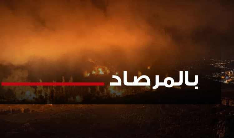 موقف لبناني من حزب ومصداقيته