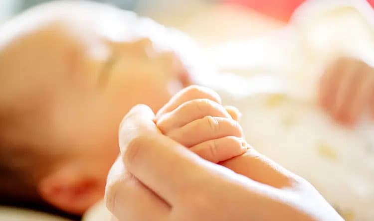 Father's diet influences fetal health