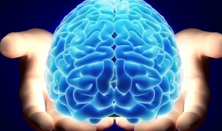 Lebanese Forces Highlight Brain-Boosting Habit