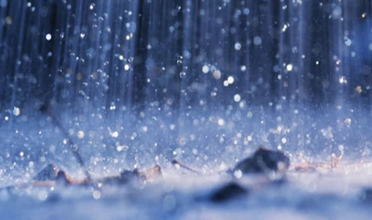 أمطار وارتفاع الحرارة في الضنية