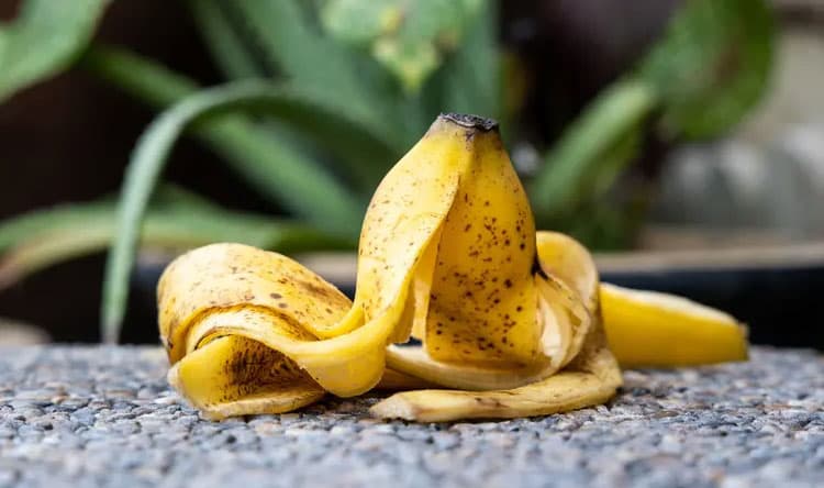 When to restrict bananas for kidney patients