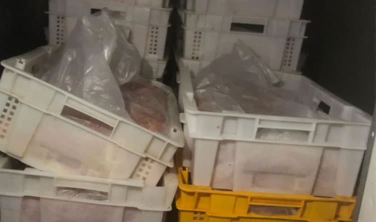 Iranian markets hold 20,000 tons of expired chicken
