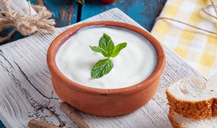 Fermented Foods for Gut Health