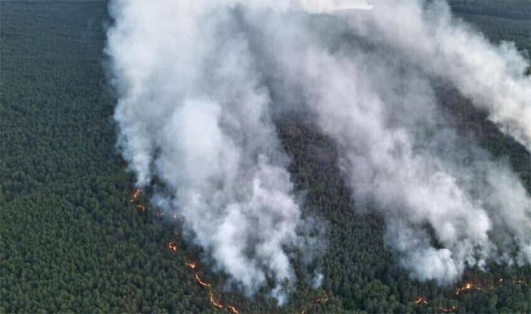 Algeria fires amid heatwave