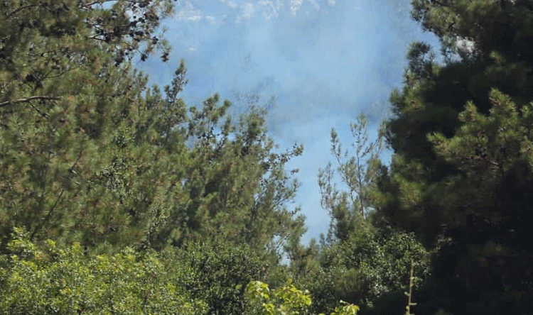 Fire rekindles in Ahdnen forests