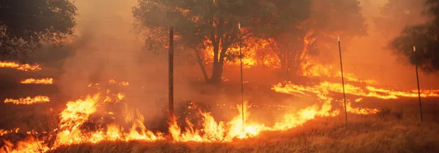 Tips to Safeguard Your Lungs from Wildfire Smoke