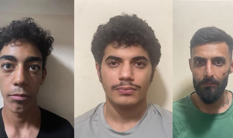Lebanese Forces seize suspects linked to 20+ thefts