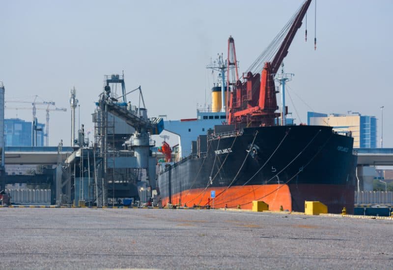 Wheat imports at Yemen ports challenge blockade claims