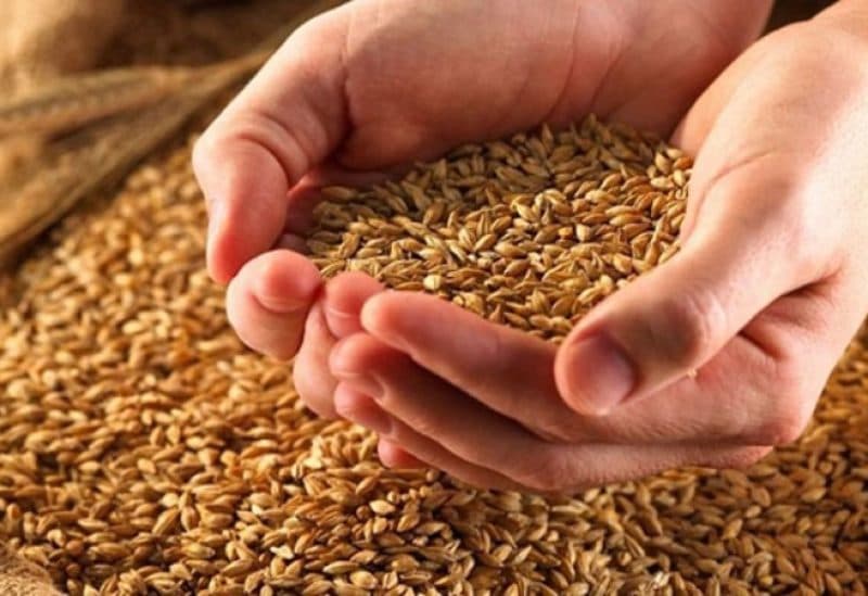 Tunisia calls for wheat and barley bids