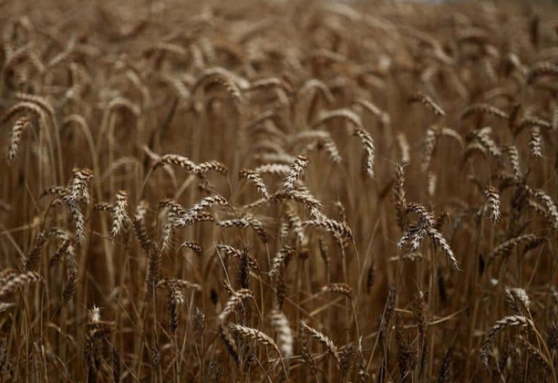 Morocco's harvest impacts French wheat exports
