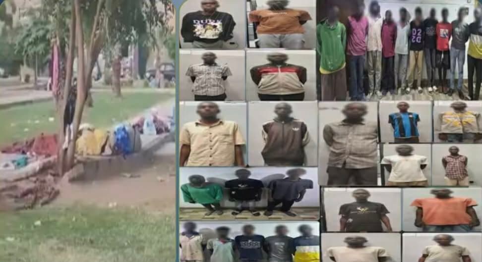 33 أجانب بلا تصاريح يقيمون في حدائق أكتوبر