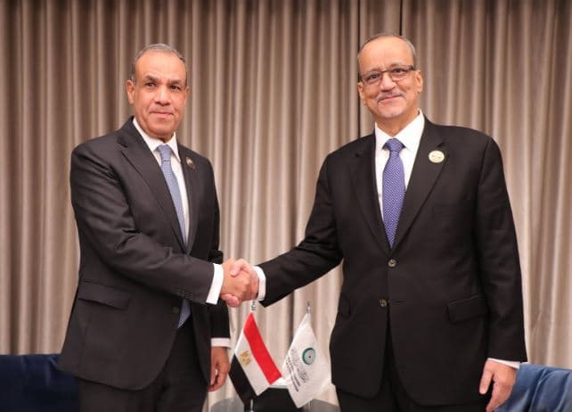 وزير الخارجية يلتقي أمين عام المنظمة