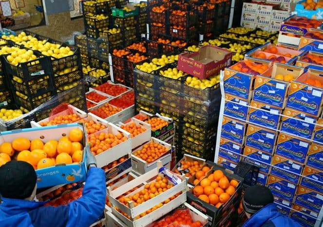 صادرات مصر الغذائية تتجاوز 5 مليار دولار