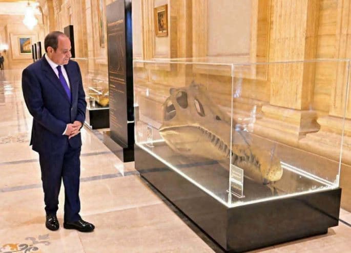 حفرية ديناصور عمرها 100 مليون سنة تظهر في مؤتمر مصر للتعدين