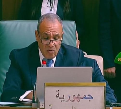 الخارجية تدعو لإنشاء قوة عربية مشتركة