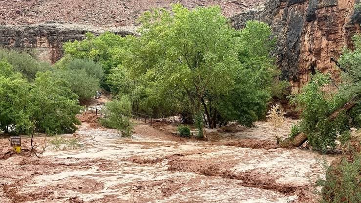 فيضانات في أريزونا تودي بحياة وتفقد أشخاصا