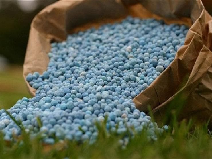 البترول والزراعة تنفيان خفض دعم الأسمدة