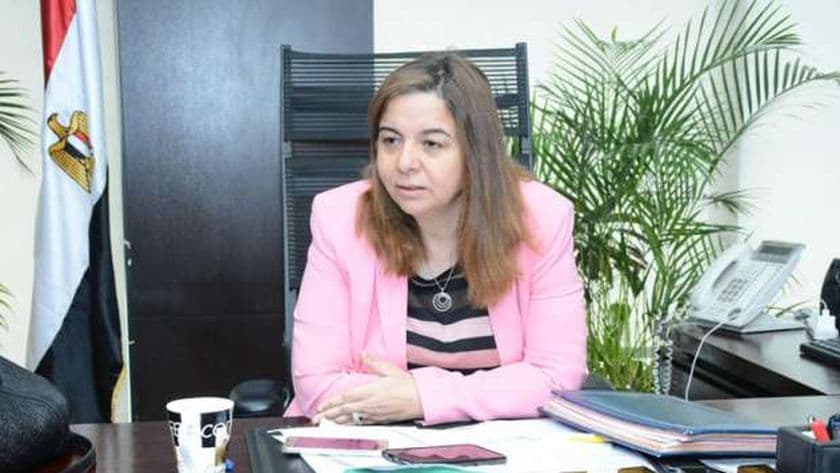 مي عبدالحميد تفرض حظر بيع وحدات الإسكان الاجتماعي لمدة 7 سنوات