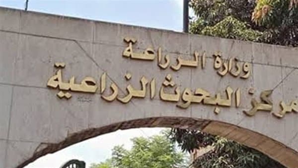 مراعاة توطين التقاوى وتقليل الاستيراد في عيد الفلاح 74