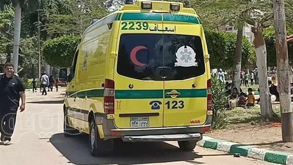 وفاة عامل محارة بكهرباء في التجمع