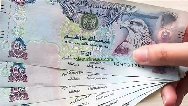 الدرهم الإماراتي يسجل 14.29 جنيها للبيع