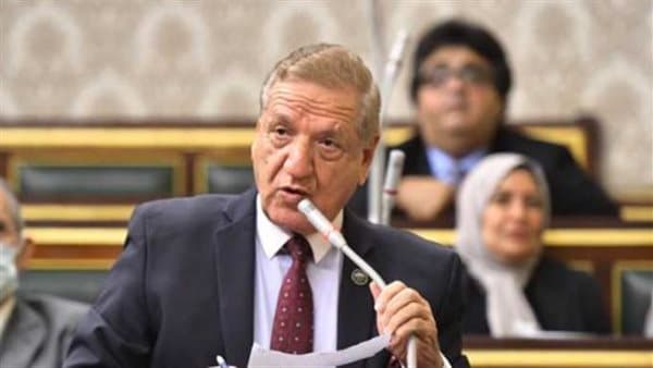 فخري الفقي يحذر من اعتماد الاقتصادات على الأموال الساخنة