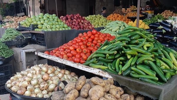 سعر الخيار يرتفع 4 جنيهات اليوم