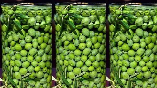 أسعار التفاح والزيتون اليوم السبت