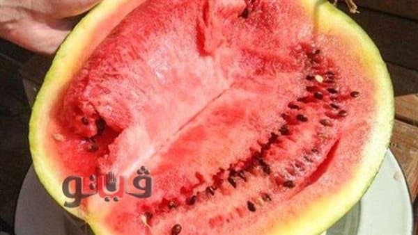 نقيب الفلاحين: البطيخ الموسم متضرر وتقاوي جديدة تحت المراجعة
