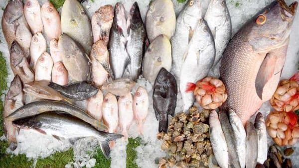 أسعار السمك اليوم الإثنين 31 أغسطس