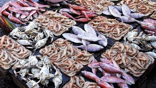 أسعار السمك اليوم انخفاض في البلطي والكابوريا وزيادة الجمبري