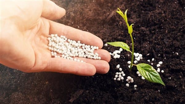 أسعار الأسمدة تنخفض إلى 1640 جنيه