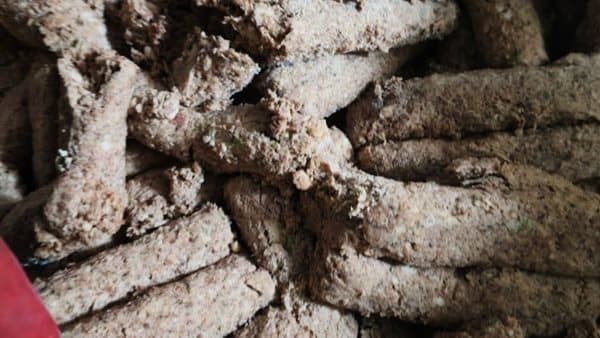 الزراعة تُحكم على 213 طنا من اللحوم المخالفة في أغسطس