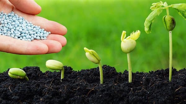 أسعار الأسمدة ترتفع إلى 1706 جنيهات