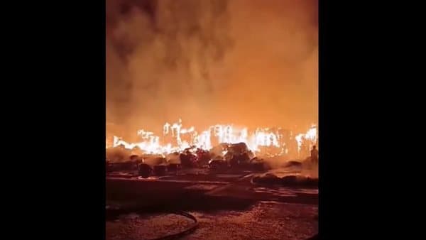 حريق في مصنع كرتون بمحافظة القليوبية
