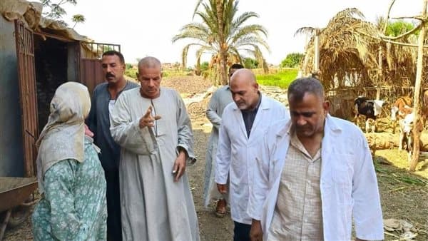 تحصين 81 ألف رأس ماشية في القليوبية