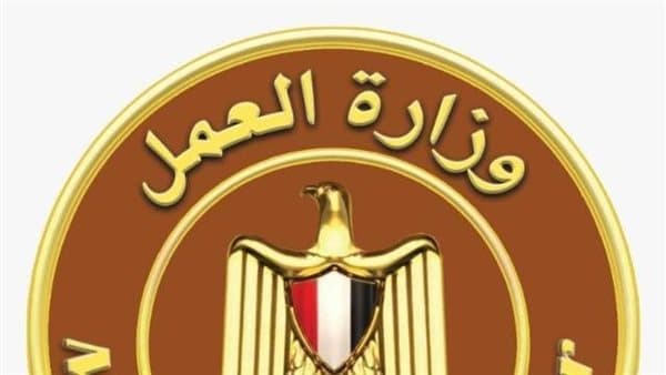 فرص عمل بقيمة 20 ألف جنيه في 11 محافظة