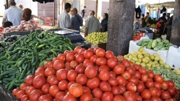 ارتفاع أسعار 9 أنواع خضار اليوم
