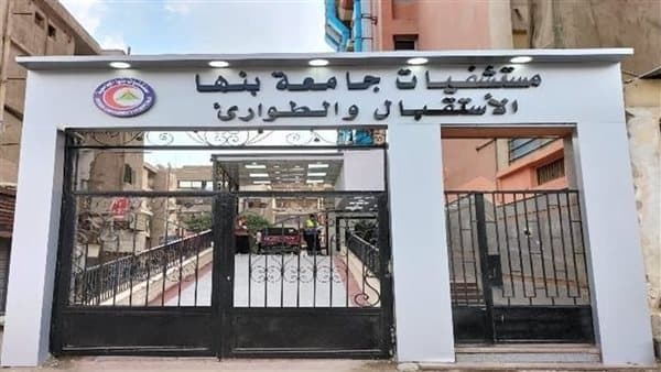 9 حالات بقرص الغلة وتسجيل 437 تسمم في بنها سبتمبر