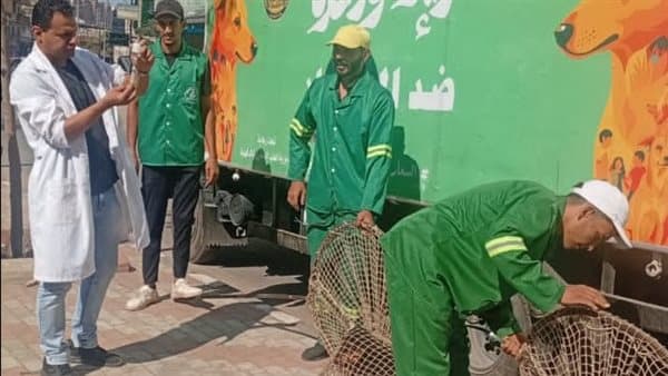حملات لمكافحة الكلاب الضالة بغرب المنصورة