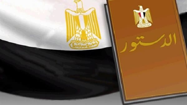 فوزي يدعو لصياغة دستور جديد لمصر
