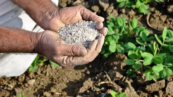 انخفاض تاريخي في أسعار الأسمدة اليوم
