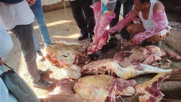 مواطن ينقذ قرية بسقلون من كارثة صحية