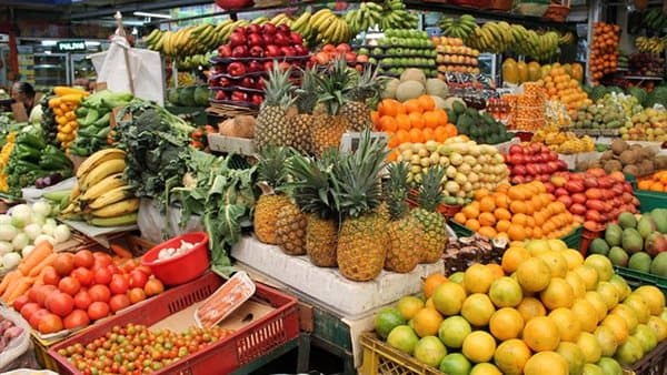 انخفاض المانجو الزبدية 5 جنيهات اليوم