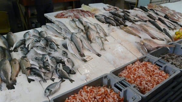 أسعار الأسماك اليوم استقرار البلطي وارتفاع البوري والجمبري