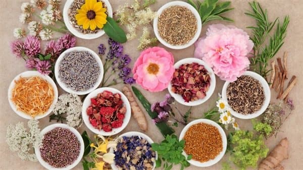 أعشاب طبيعية لتعزيز النوم ليلاً
